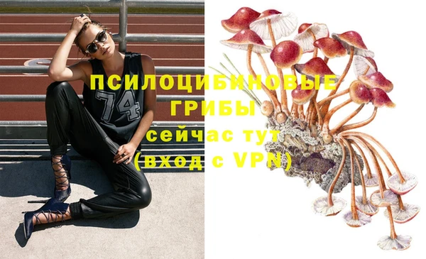 2c-b Арсеньев