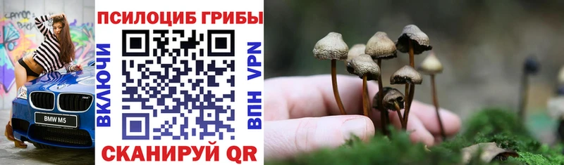 kraken сайт  Новый Оскол  Галлюциногенные грибы Psilocybe  как найти  